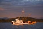 Photo: Fishing Boat Sunset Vancouver Island