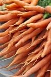 Photo: Picture of Carrots