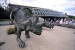 Outside the Royal Tyrrell Museum in Alberta, Canada stands a large model of a dinosaur.