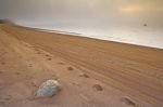Photo: Footprints Sand Labrador