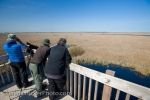 Photo: Marsh Boardwalk Bird Watching Point Pelee National Park Leamington