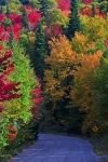 Photo: Quebec Provincial Park Fall Colors Picture
