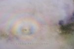 Photo: Rainbow Fog Aerial Southern Labrador