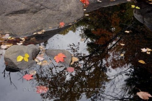 Photo: Autumn Water Reflections Lake Superior Provincial Park