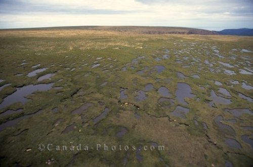 Photo: Gros Morne National Park Marshlands