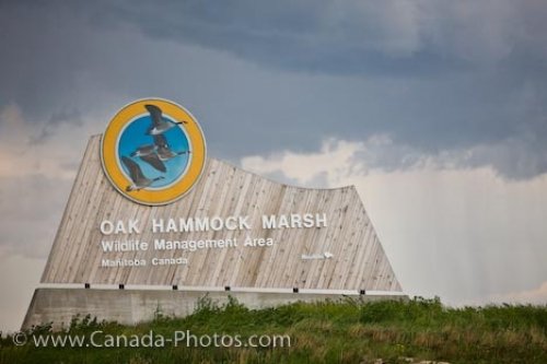 Photo: Oak Hammock Marsh Interpretative Centre Entrance Sign Manitoba