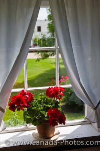 Photo: Red Potted Flowers Mennonite Heritage Village Hochfield House