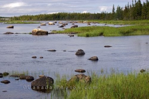 Photo: Salmon River Wilderness Main Brook Newfoundland