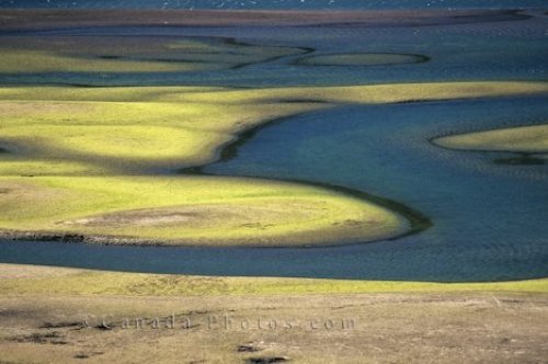 Photo: Swamp Land Peter Lougheed Provincial Park Alberta