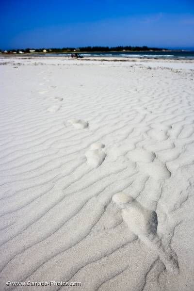 Photo: White Sand Footprints Crescent Beach Nova Scotia