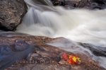 Photo: Autumn Waterfall Lake Superior Provincial Park