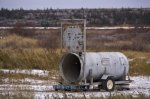 Photo: Bear Trap Churchill Manitoba