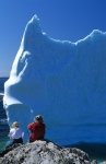 Icebergs can be found in early summer off the Newfoundland coast
