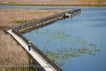 Photo: Boardwalk Visitors Point Pelee National Park Ontario Canada