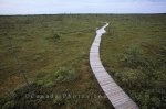 Photo: Boardwalk Kouchibouguac National Park