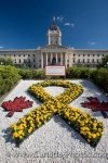 Photo: Canadian Troops Legislative Building Garden Winnipeg City