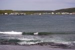 Photo: Raleigh Town Ha Ha Bay Burnt Cape Ecological Reserve Newfoundland