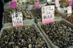 Photo: Chinatown Markets Toronto Ontario