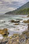 Photo: Forest Fringed West Coast Northern Vancouver Island