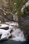 Photo: Cold Water Creek Alberta