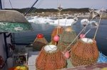 Photo: Commercial Crab Fishing Newfoundland