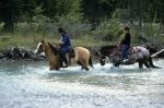 Typical romantic country life, freedom on horses in Blaeberry Valley, Golden, BC, Goldenwood Lodge.