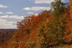 Photo: Fall Shades Algonquin Provincial Park Ontario