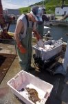 Photo: Fishing Catch Trout River Newfoundland