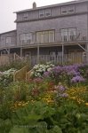 Photo: Flower Garden Margaretsville Nova Scotia