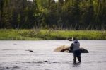 Photo: Fly Fishing Main Brook Newfoundland