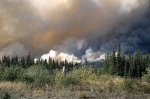 Photo: Forest Fire Yukon Territory