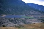 Photo: Ginseng Field Fraser Valley