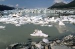 Photo: Glacier Lake Kluane National Park