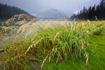 Photo: Grass fringed Lightning Lake Manning Provincial Park British Columbia Canada