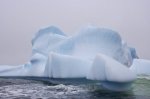 Photo: Great Caribou Island Grounded Iceberg Southern Labrador