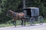 Photo: Horse Drawn Carriage St Jacobs