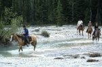 Horseriding, pristine streams and forests in Blaeberry Valley, Golden, British Columbia.