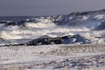 Photo: Hudson Bay Rugged Coastline Churchill Manitoba