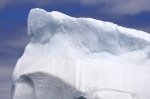 Photo: Iceberg History Iceberg Watching Tour Newfoundland