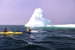 Kayaking adventure close to the icebergs of St Anthony, Newfoundland, Canada, North America.