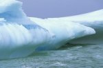 Photo: Icebergs Newfoundland Floating St Anthony
