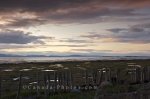 Photo: Kamouraska Sunset Quebec