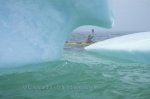 Adventure Kayaking and watching icebergs, near St Anthony, Newfoundland, Canada, North America.