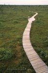 Photo: Kouchibouguac National Park Boardwalk New Brunswick