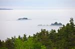 Photo: Fog Shrouded Lake Superior Forest Ontario