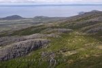 Photo: Lake Melville Southern Labrador