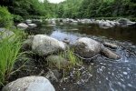 Photo: Mersey River Nova Scotia