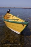 Photo: Motorboat Fundy Coastal Drive New Brunswick