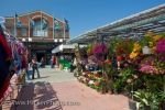 Photo: Outdoor Flower Stall Byward Market Ottawa Ontario