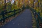Photo: Paved Trail Fall Forest La Mauricie National Park